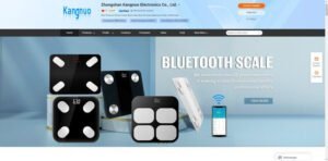 Zhongshan Kangnuo Electronics Co., Ltd